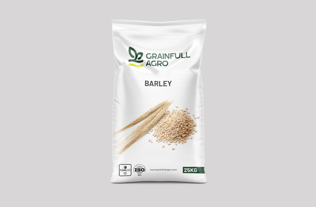 Barley